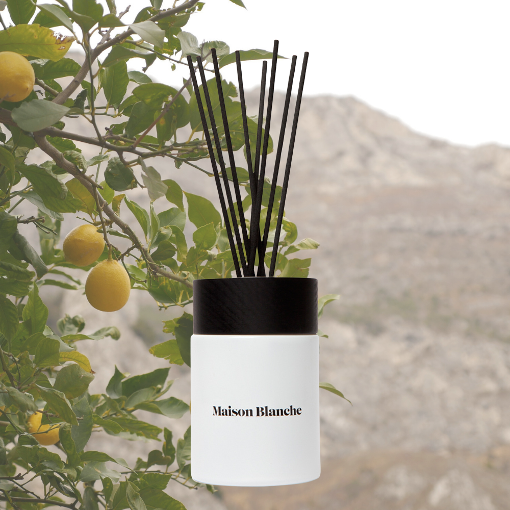 Alternate image for 011 Lemon Verbena & Sage / Diffuser