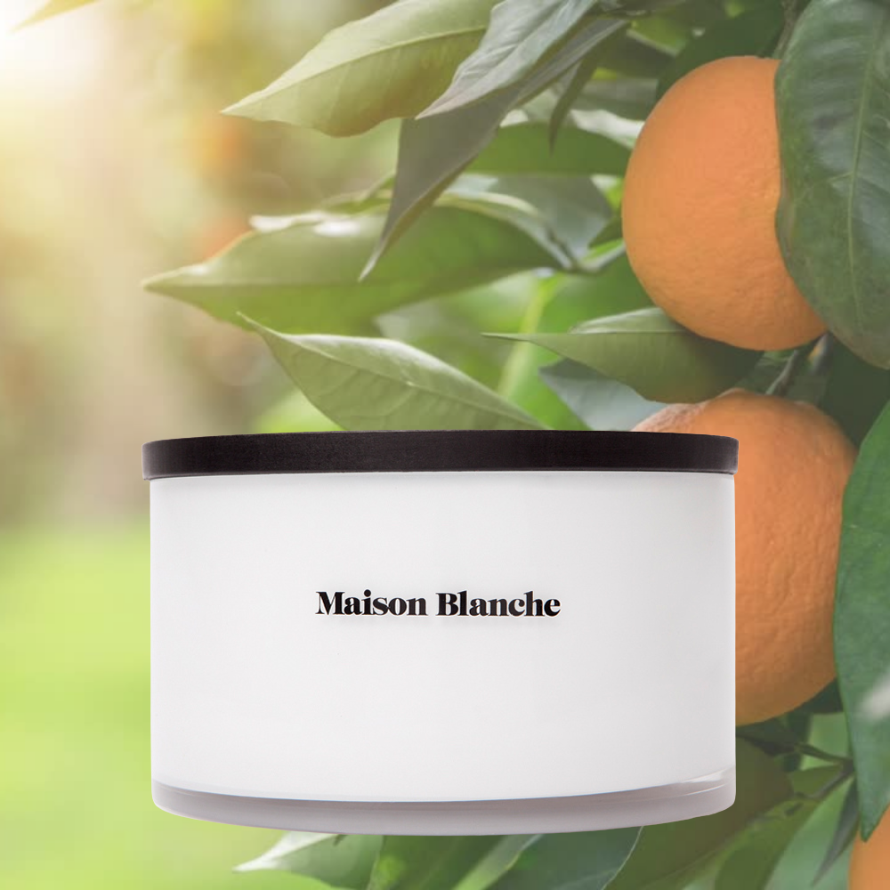 Alternate image for 002 Paperwhite & Clementine / Deluxe Candle