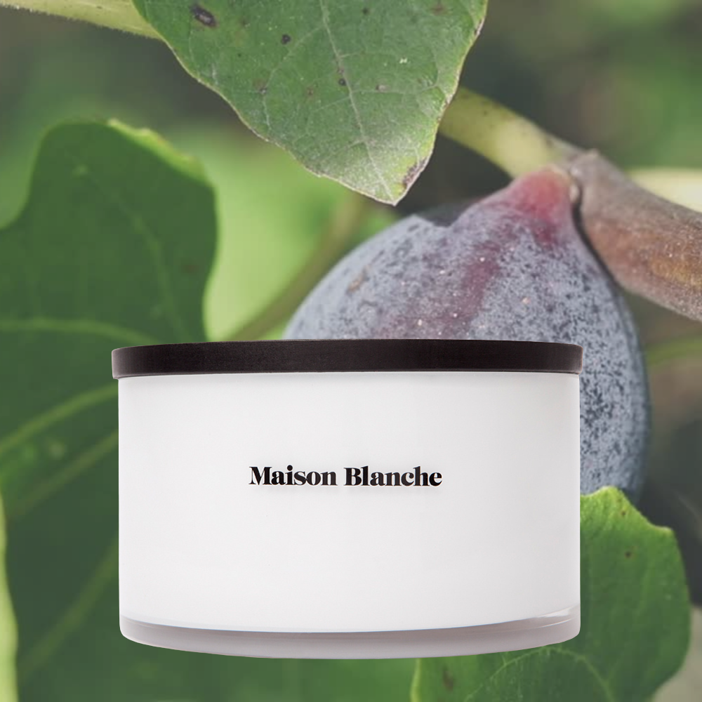 Alternate image for 014 Fig & Olive Leaf / Deluxe Candle