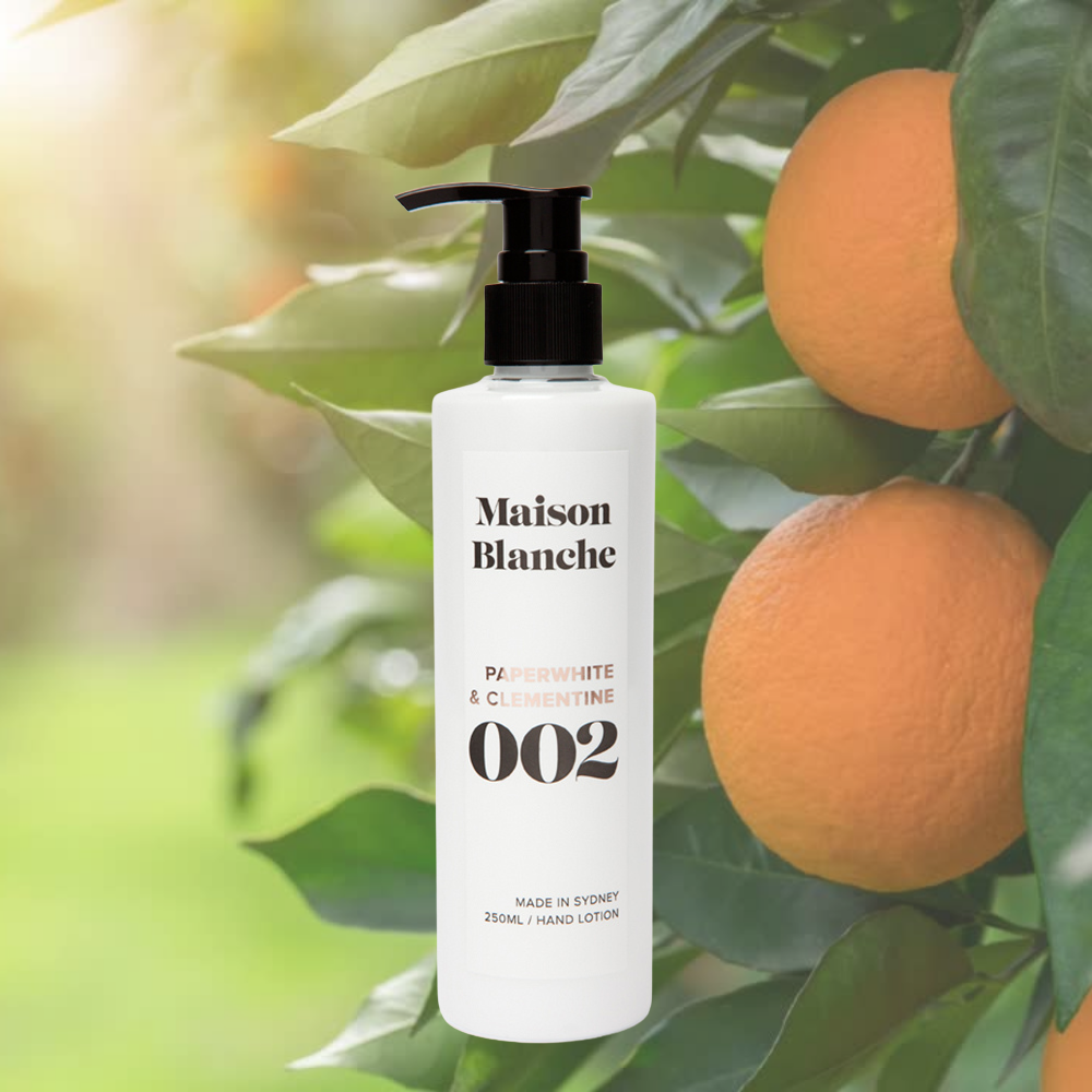 Alternate image for 002 Paperwhite & Clementine / Hand Lotion