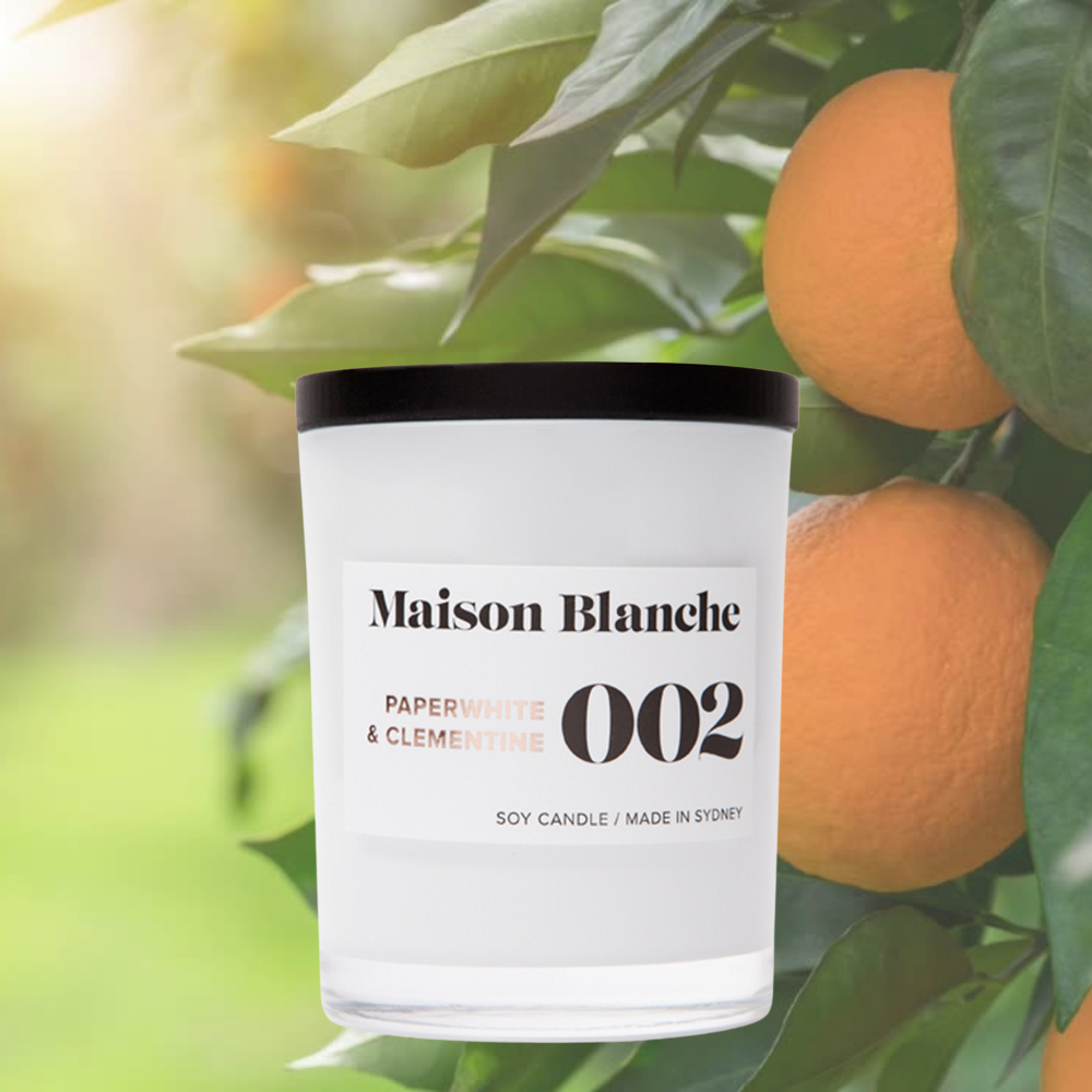 Alternate image for 002 Paperwhite & Clementine / Medium Candle