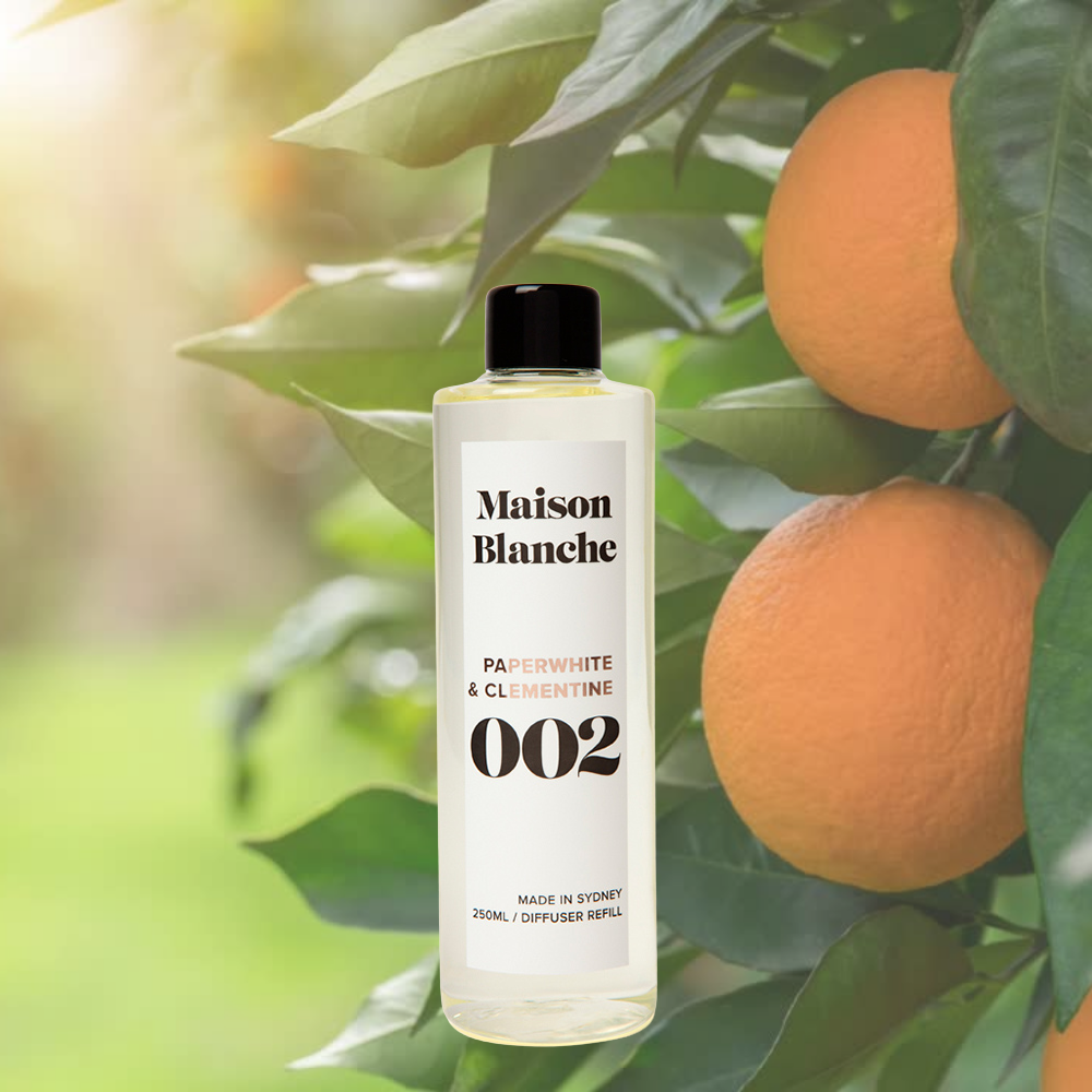 Alternate image for 002 Paperwhite & Clementine / Diffuser Refill