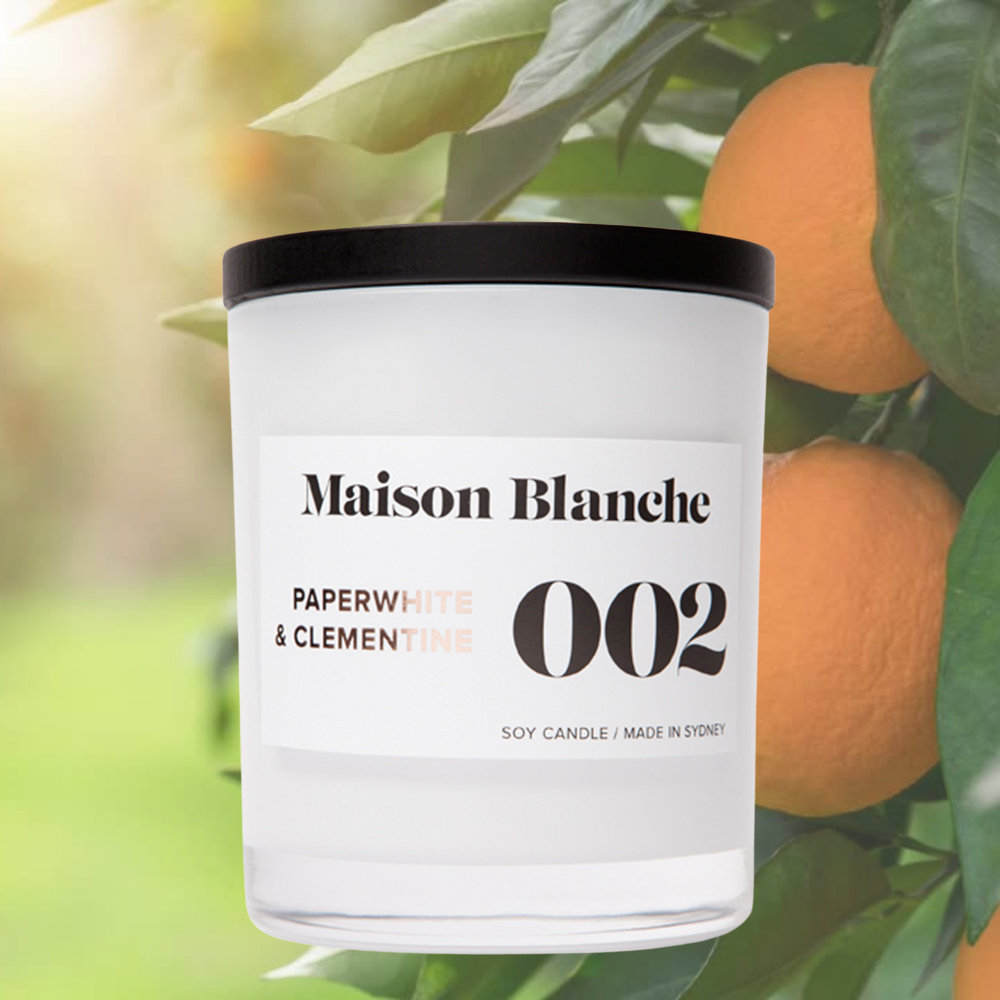 Alternate image for 002 Paperwhite & Clementine  / Large Candle / Single Wick