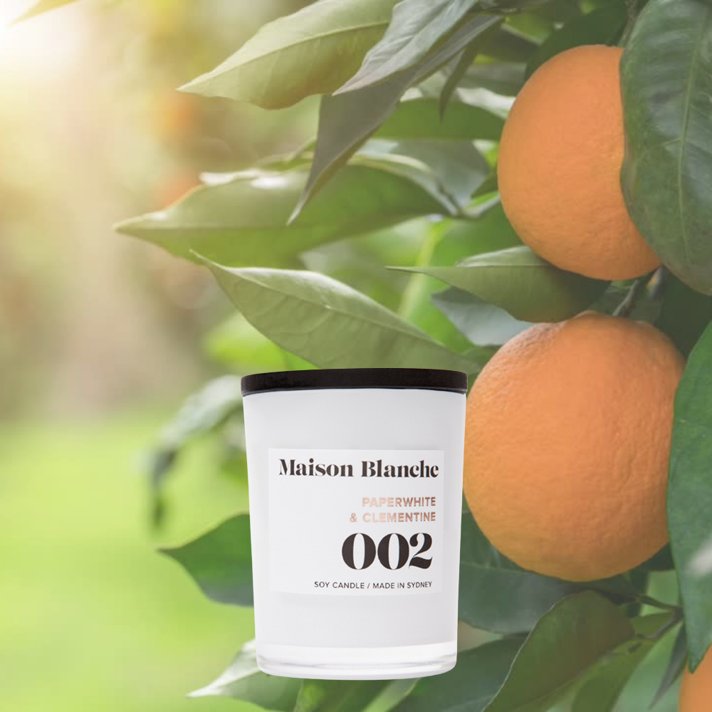 Alternate image for 002 Paperwhite & Clementine / Small Candle