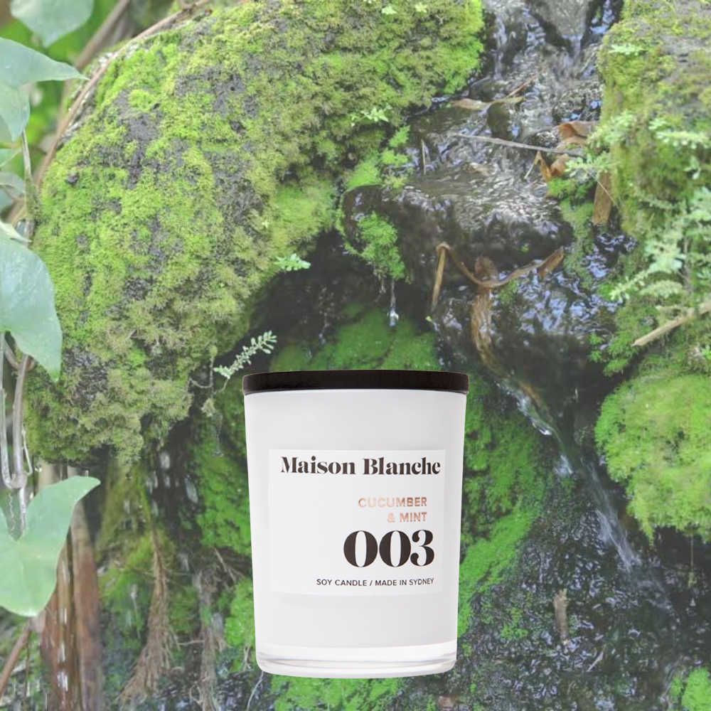 Alternate image for 003 Cucumber & Mint / Small Candle