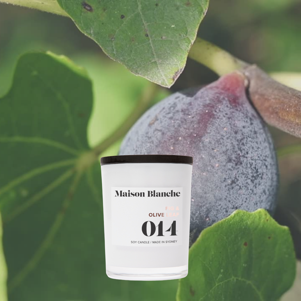 Alternate image for 014 Fig & Olive Leaf / Small Candle