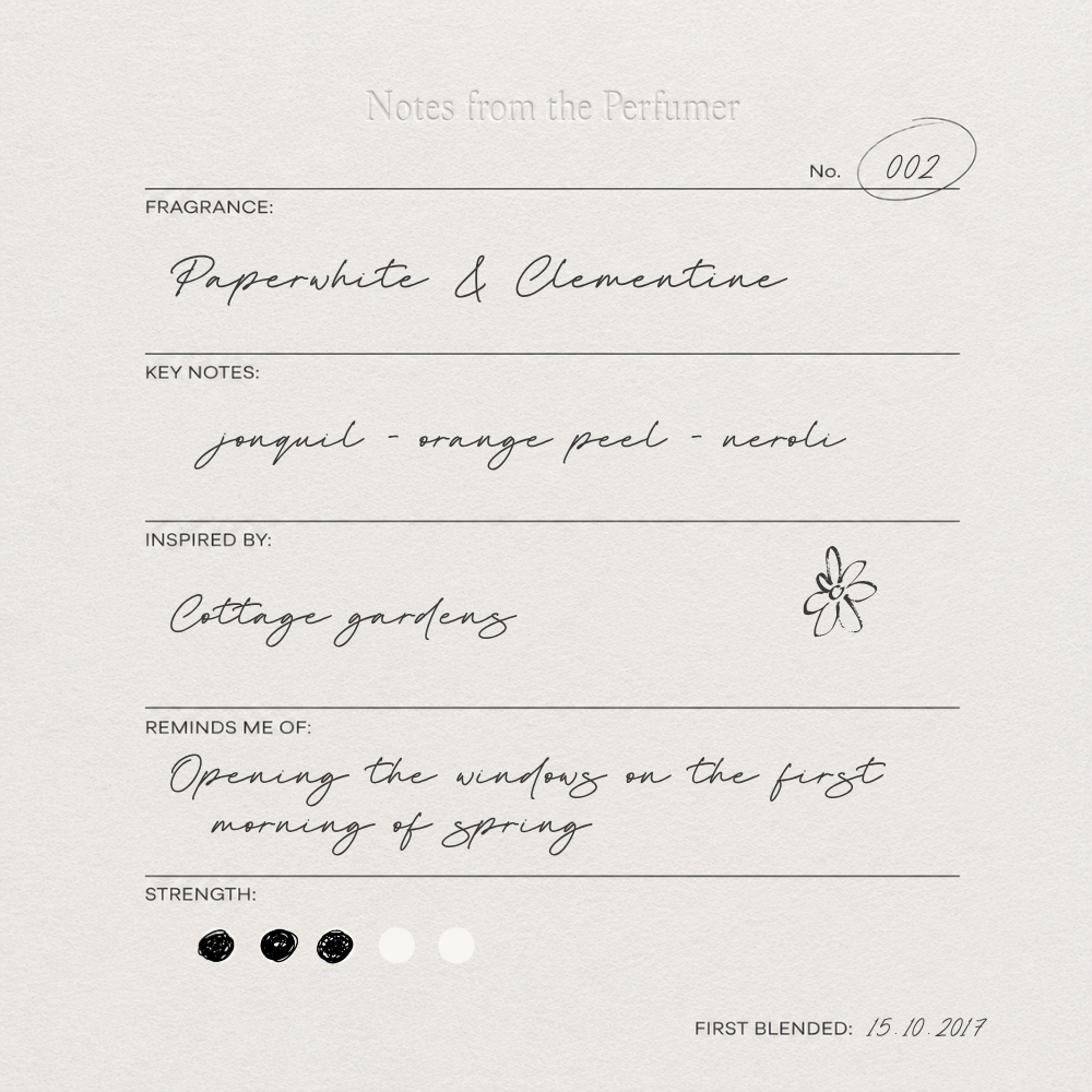 002 Paperwhite & Clementine - Large Candle