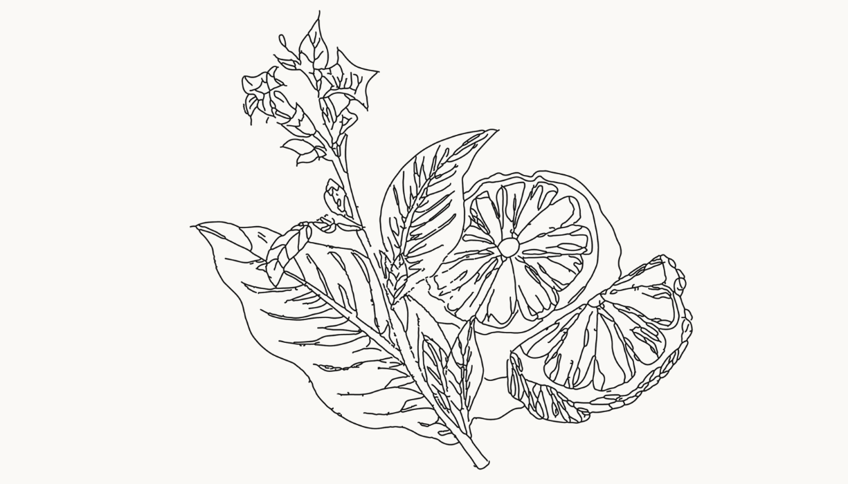 004 Bergamot & Tobacco