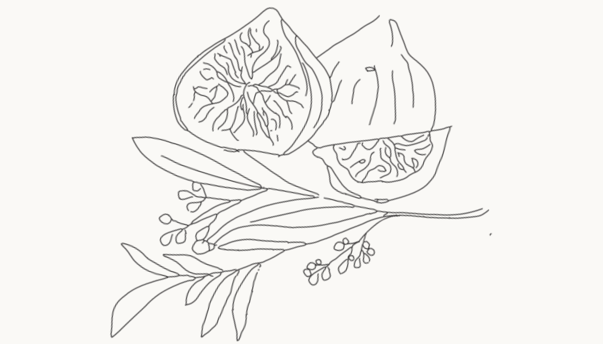 014 Fig & Olive Leaf