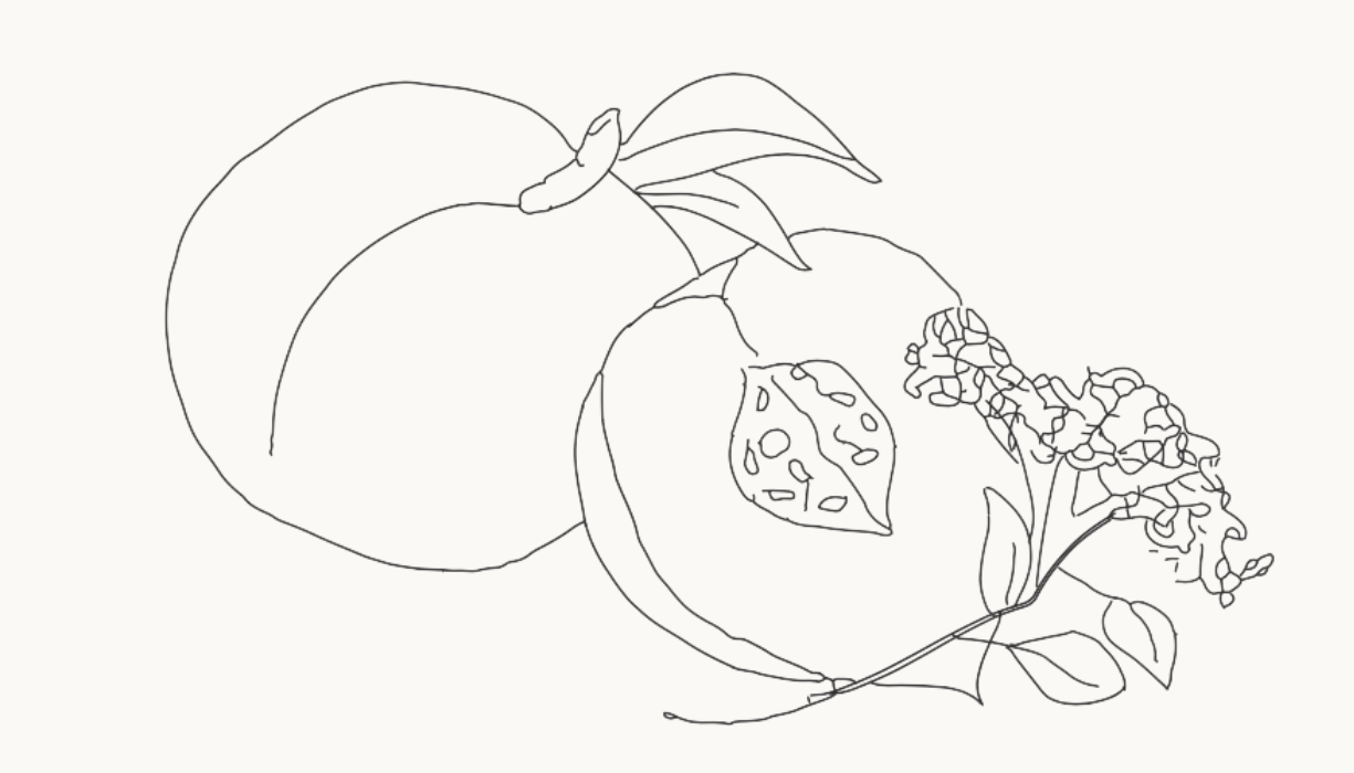 012 Peach & Elderflower