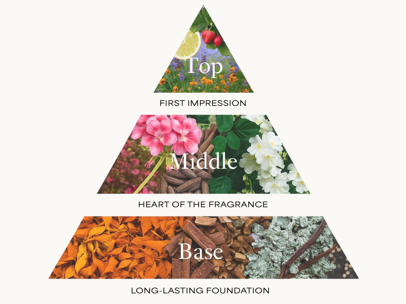 Fragrance Pyramid