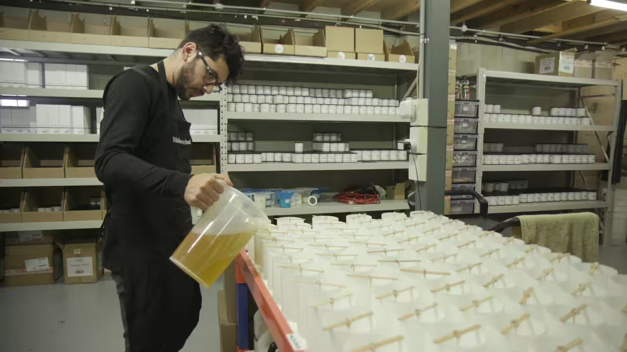 Maison Blanche employee pouring wax