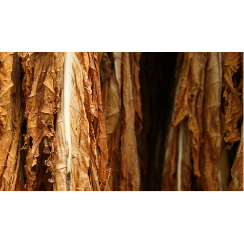 004 Bergamot & Tobacco